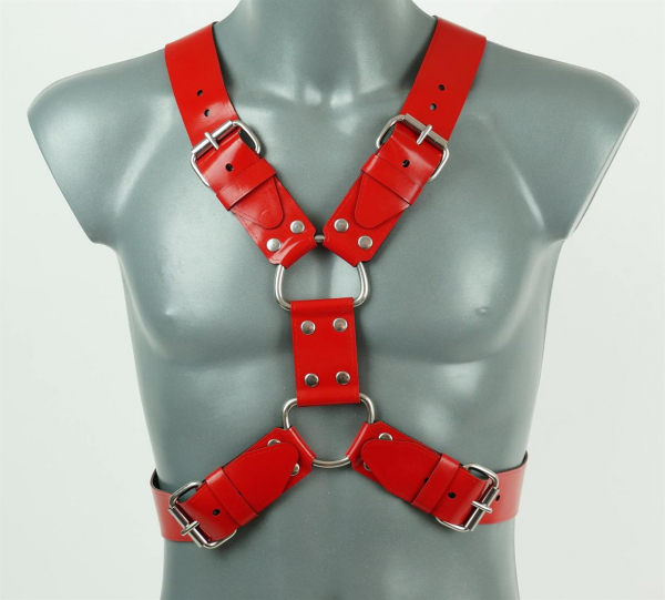 VAHCR02A0R0000_VAST_Y_Front_Harness__Red_01.jpg